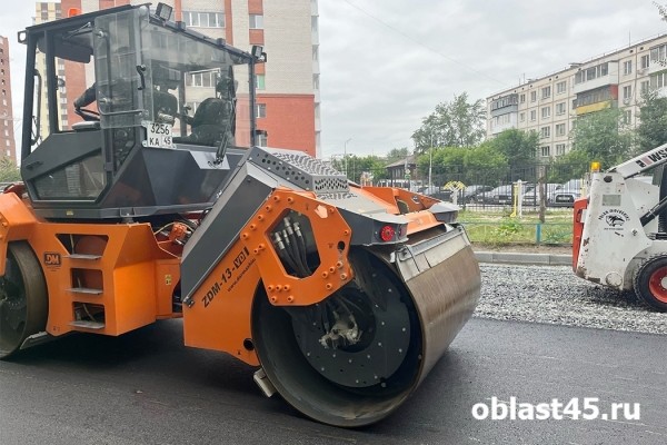 Глава Кургана отправилась в рейд по благоустройству дворов и дорог