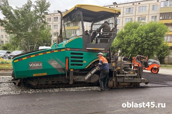 Глава Кургана отправилась в рейд по благоустройству дворов и дорог