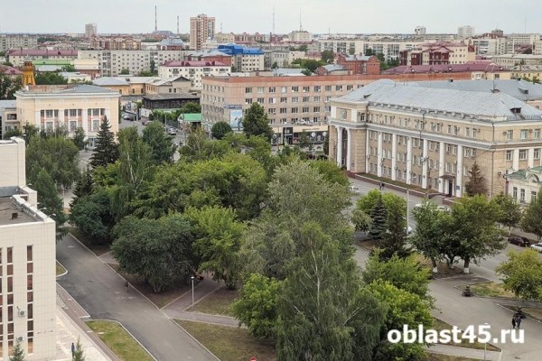 В Кургане вырубят опасные деревья и высадят новые