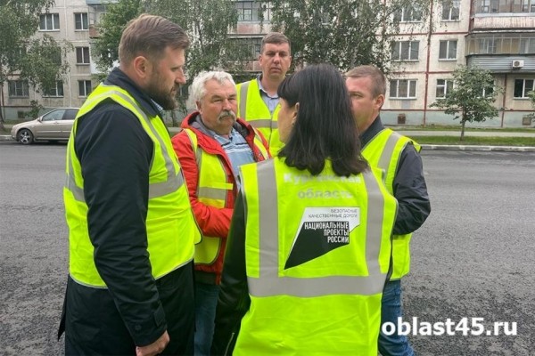 Глава Кургана отправилась в рейд по благоустройству дворов и дорог