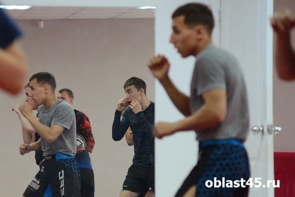 В Кургане появилась федерация тайского бокса В Кургане появилась федерация тайского бокса