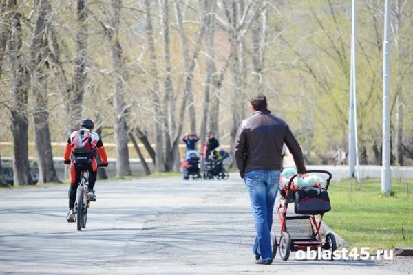 Курганские следователи напомнили родителям об ответственности за детей