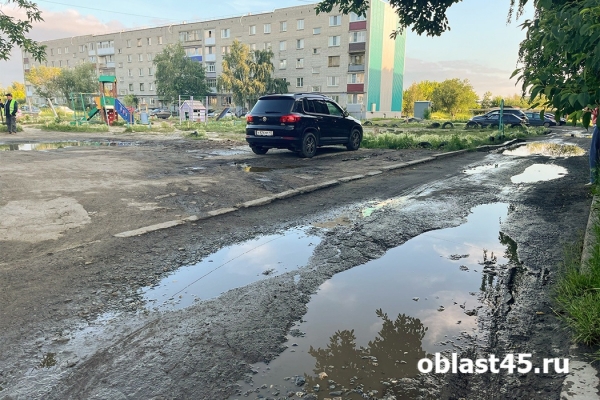 Глава Кургана отправилась в рейд по благоустройству дворов и дорог