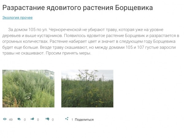 Курганский двор зарос ядовитой травой