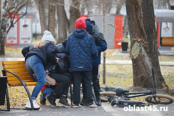 Курганские следователи остановили кибер-педофила, который совратил 45 детей