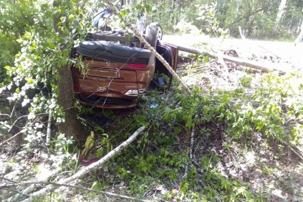  В Курганской области пьяный водитель съехал в кювет и перевернулся 
