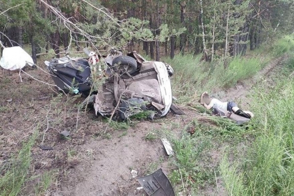 В Курганской области водитель «двенашки» уснул возле разбитой машины В Курганской области водитель «двенашки» уснул возле разбитой машины