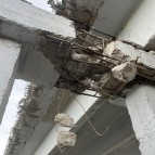 
											Своевременно начатый ремонт федерального моста помог выявить предаварийное состояние конструкций и избежать серьезных последствий									