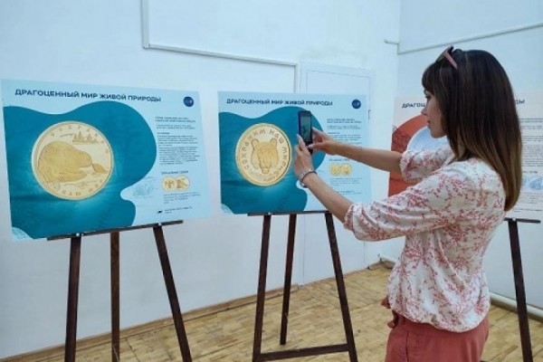Редкие виды животных на монетах: в курганском музее открылась выставка