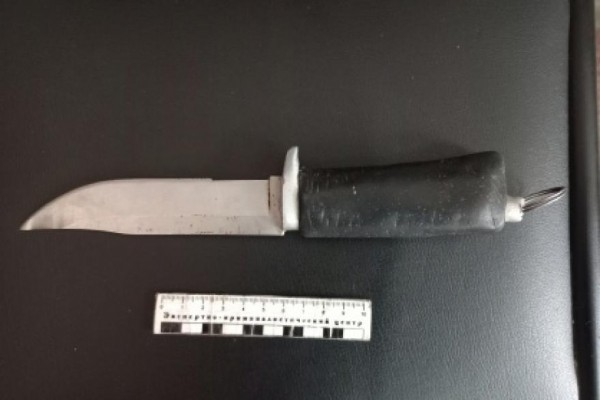 В Курганской области пьяный юноша напал на друга с ножом В Курганской области пьяный юноша напал на друга с ножом
