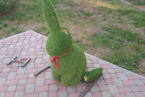 Курганский заяц остался без уха
