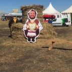 В Курганской области прошла VIII окружная выставка-форум «День Уральского поля-2022»
В Курганской области прошла VIII окружная выставка-форум «День Уральского поля-2022»