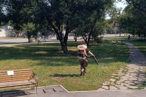 Курганские парки и скверы снова обрабатывают от клещей