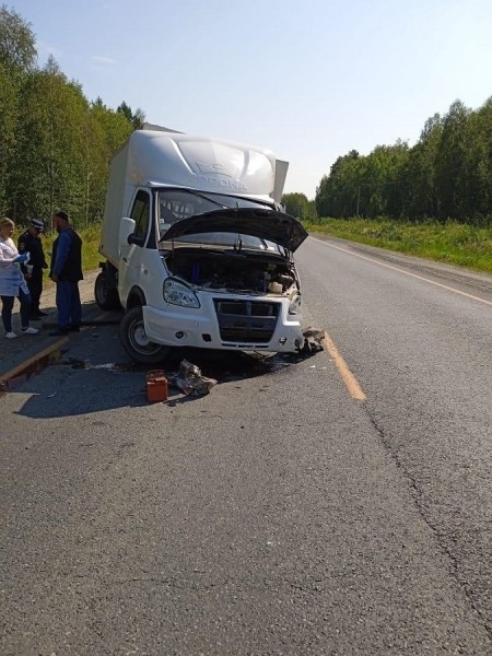 Аварийный боулинг: водитель иномарки &laquo;выбил страйк&raquo; на курганской дороге 