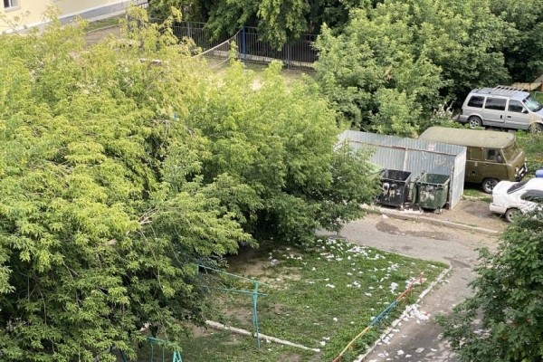Отходы известной пиццерии заполнили курганский двор