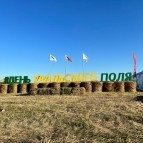 В Курганской области прошла VIII окружная выставка-форум «День Уральского поля-2022»
В Курганской области прошла VIII окружная выставка-форум «День Уральского поля-2022»