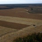
											Губернатор Вадим Шумков: Главные герои уборочной кампании - ребята, которые своими руками вырастили и убирают урожай									