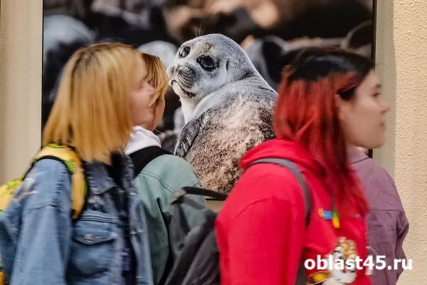 В Кургане открылась выставка &laquo;фанатичных экологов&raquo;