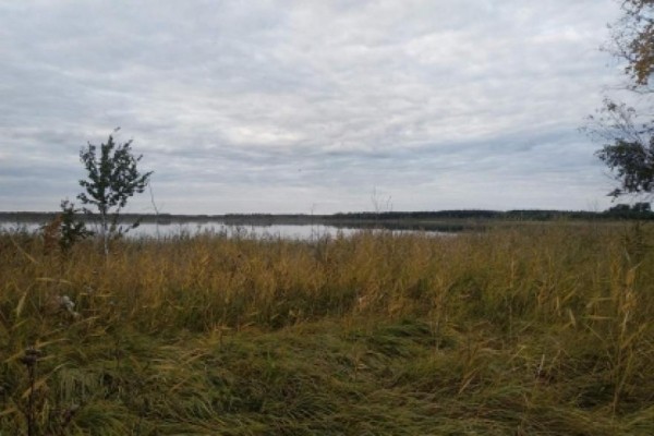 В Курганской области тело пропавшего охотника нашли в озере В Курганской области тело пропавшего охотника нашли в озере