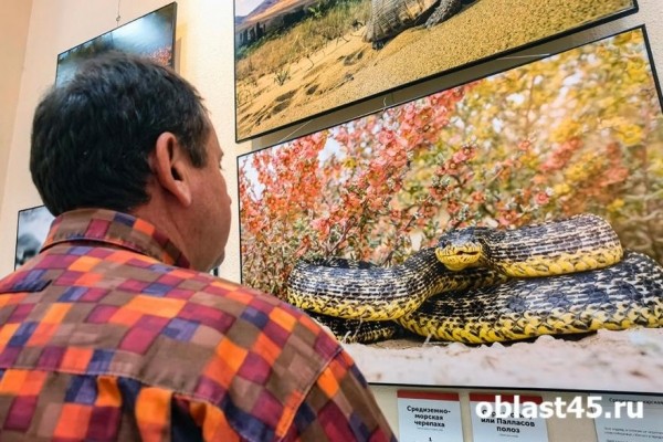 В Кургане открылась выставка &laquo;фанатичных экологов&raquo;