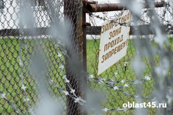 Шадринец сядет на 12 лет за убийство