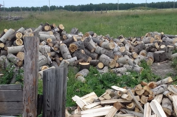 Два зауральца причинили миллионный ущерб незаконной лесозаготовкой