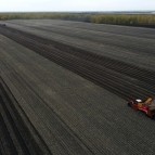 
											Губернатор Вадим Шумков: Главные герои уборочной кампании - ребята, которые своими руками вырастили и убирают урожай									