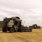 
											Губернатор Вадим Шумков: Главные герои уборочной кампании - ребята, которые своими руками вырастили и убирают урожай									