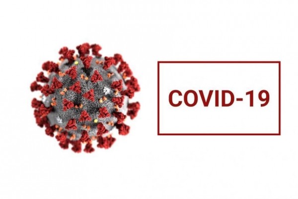 В Курганской области с диагнозом COVID-19 госпитализировали 20 человек В Курганской области с диагнозом COVID-19 госпитализировали 20 человек