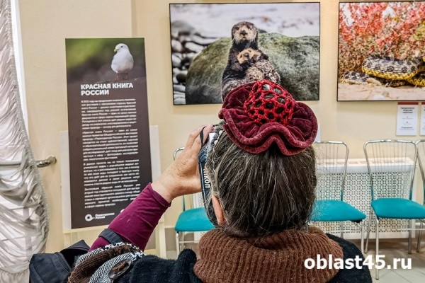 В Кургане открылась выставка &laquo;фанатичных экологов&raquo;