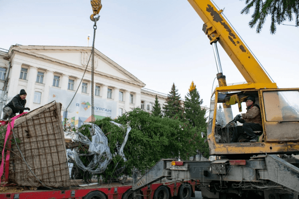 В центре Кургана высадили ель
