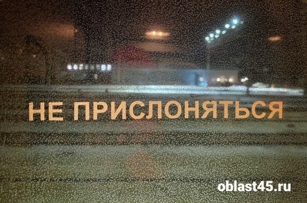 Станет ли электричка популярным городским транспортом для курганцев?