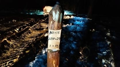 В Курганской области в лесу погиб мужчина В Курганской области в лесу погиб мужчина