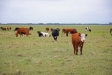 
											По итогам конкурсного отбора 4 проекта семейных ферм получат поддержку на общую сумму 69 млн рублей									