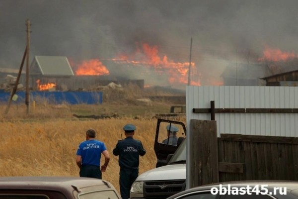 В Курганской области полностью потушили Логоушку В Курганской области полностью потушили Логоушку