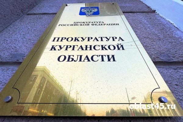 Курганская прокуратура заинтересовалась ДТП, где пострадал юный велосипедист