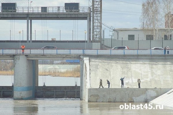 За курганской дамбой установили наблюдение