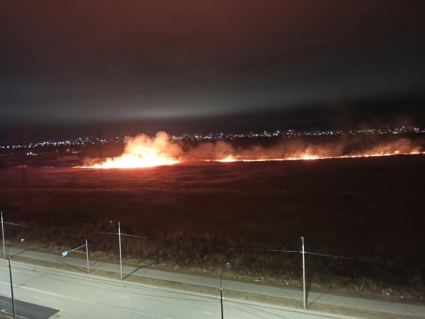 В Кургане в микрорайоне Заозёрном горел пустырь В Кургане в микрорайоне Заозёрном горел пустырь