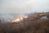 
											В Курганской области с начала года к административной ответственности за несоблюдение пожарной безопасности привлечен 71 житель									
