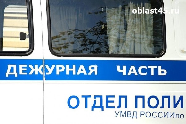 Двух пьяных курганцев усмиряли два экипажа полиции