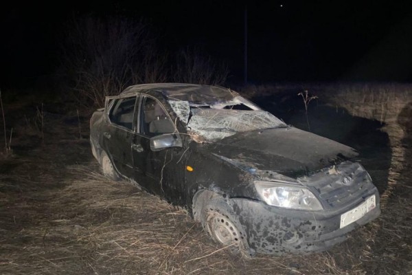 В Курганской области автоледи не справилась с &laquo;Грантой&raquo;