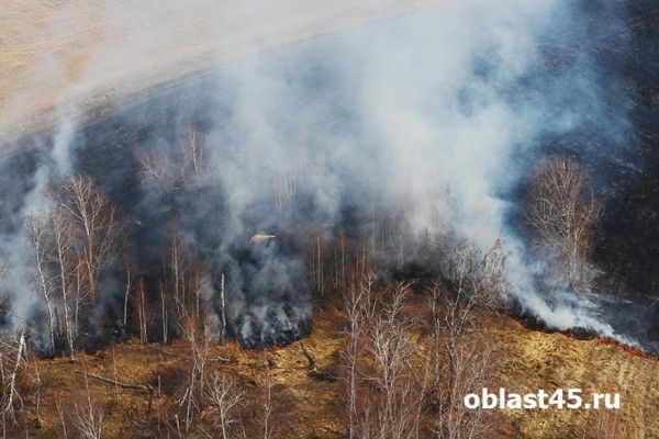 В одном из округов Зауралья бушует ландшафтный пожар В одном из округов Зауралья бушует ландшафтный пожар