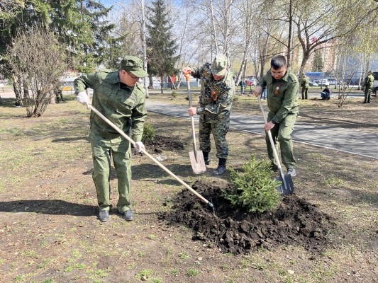 Офицеры регионального следственного управления приняли участие в благоустройстве &laquo;Аллеи Памяти&raquo; в Парке Победы