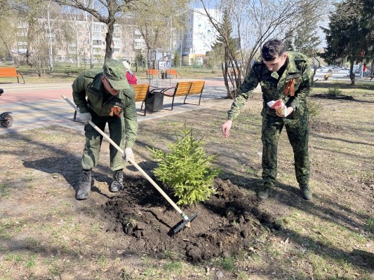 Офицеры регионального следственного управления приняли участие в благоустройстве &laquo;Аллеи Памяти&raquo; в Парке Победы