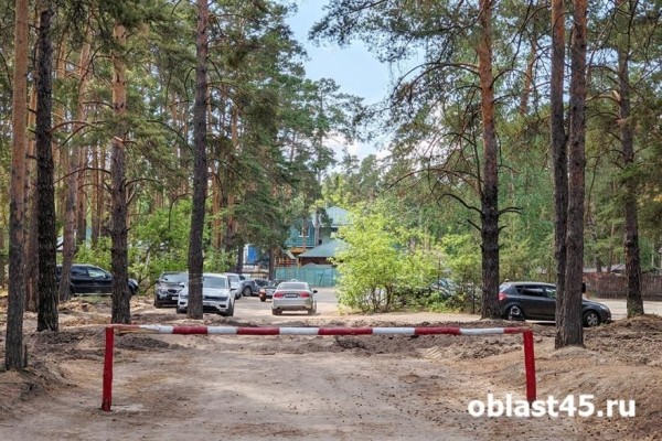 В Курганской области более 1000 человек стали &laquo;лакомством&raquo; для клещей