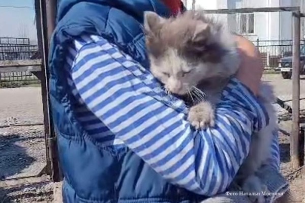 Полчаса до ада: в считанные минуты штормовой ветер и огонь решили судьбу Смолино