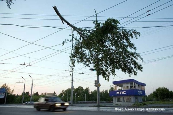 В Курганской области ожидается усиление ветра