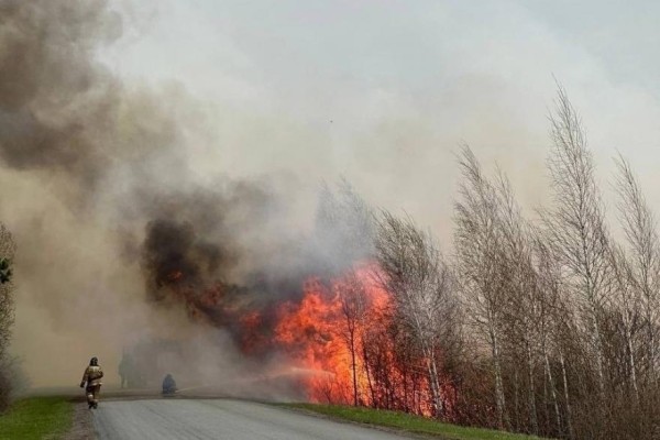 Из-за пожара закрыли федеральную трассу Р-254 «Иртыш» Из-за пожара закрыли федеральную трассу Р-254 «Иртыш»