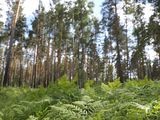 
											В Курганской области введён запрет на охоту									