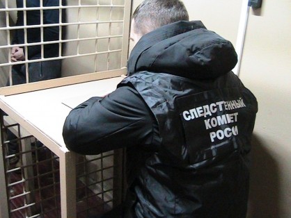 В Шадринске вынесен приговор суда в отношении местного жителя, признанного виновным в совершении убийства 